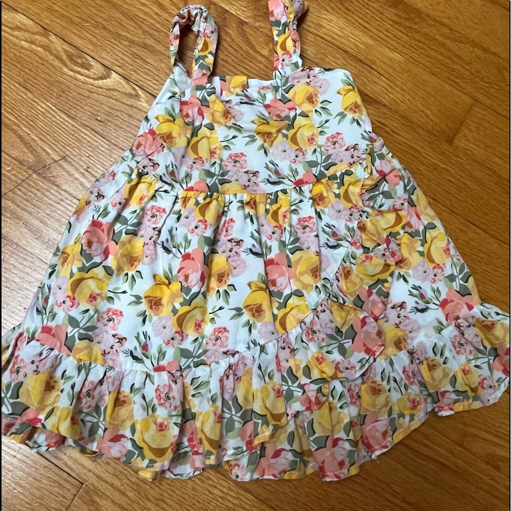 Janie and Jack Baby Girl Floral Dress Size 6-12 months Bright Eye-Catching Getup